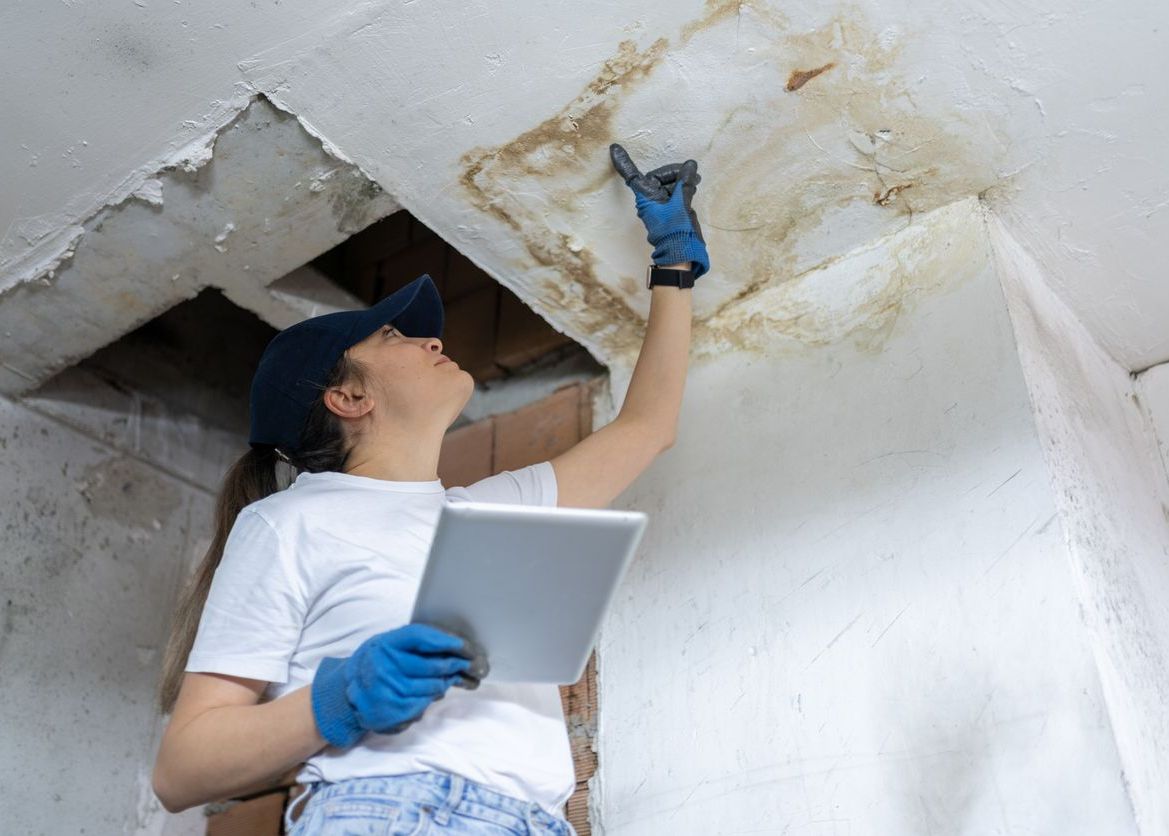 Common Misconceptions About Homeowners Insurance Coverage for Mold