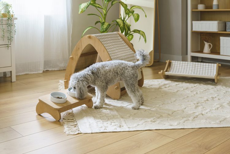 Puppy Prep: How to Make Your Home Ready for Your Newest Pet