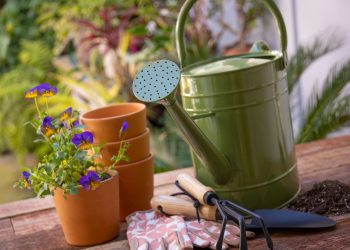 Must-Do Gardening Tasks to Tackle in Early Spring