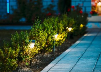 Smart Summer Upgrades to Enhance Your Home