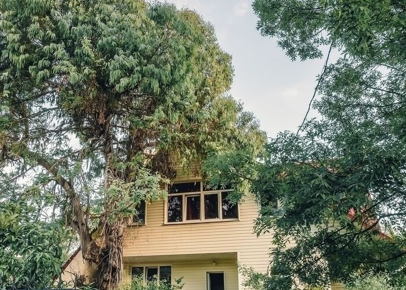 How Overgrown Trees Can Damage Your House