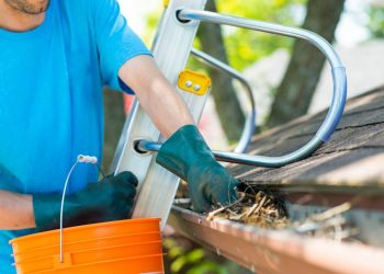 Why You Should Have Your Gutters Cleaned in the Spring