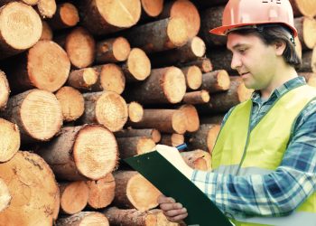 Total Canadian Lumber Tariffs Raised to More Than 25%
