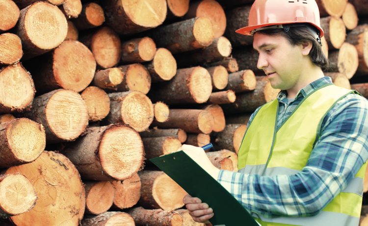 Total Canadian Lumber Tariffs Raised to More Than 25%