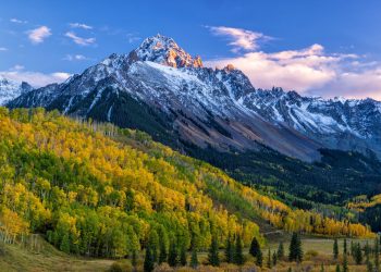 Colorado’s IRES MLS Launches Rayse as New Member Benefit