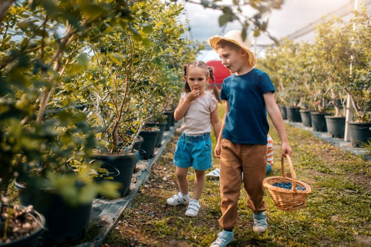 5 Outdoor Activities to Try With Kids This Summer