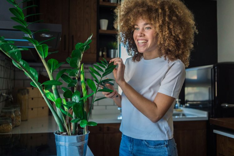 3 Secrets to Keeping Indoor Plants Alive