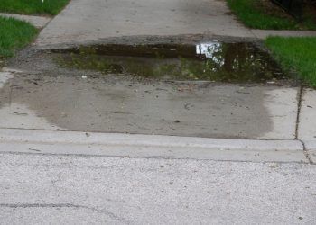 Signs That Your Driveway Has a Drainage Problem