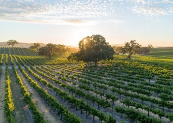 GUIDE Real Estate Opens Office in Paso Robles, California