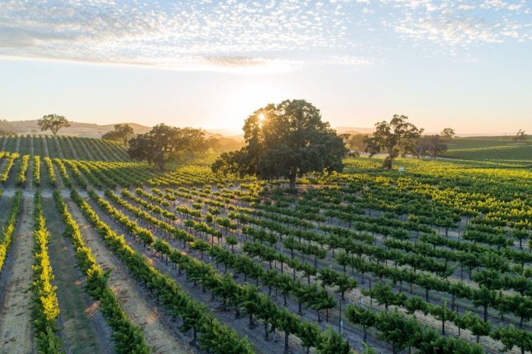 GUIDE Real Estate Opens Office in Paso Robles, California
