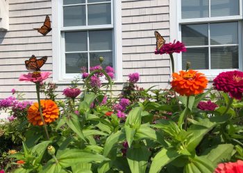 Here’s How to Bring Butterflies to Your Garden