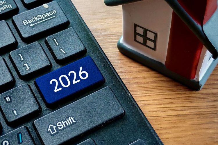 Market Momentum: December Sees a Resilient Finish