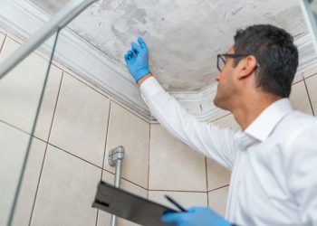 Why a Home Likely Won’t Be Sold If There’s Signs of Mold