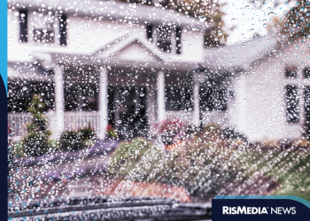 Rain